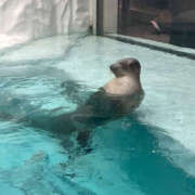 ヒメ日記 2025/09/27 19:19 投稿 はち オズ 千葉栄町店