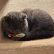 ヒメ日記 2025/01/15 21:20 投稿 みるる すごいエステ池袋店