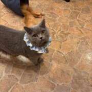 ヒメ日記 2025/01/20 15:30 投稿 みるる すごいエステ池袋店