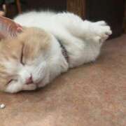 ヒメ日記 2025/02/17 18:55 投稿 みるる すごいエステ池袋店