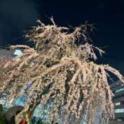 ヒメ日記 2025/03/24 22:30 投稿 みるる すごいエステ池袋店