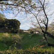 ヒメ日記 2025/04/12 17:50 投稿 みるる すごいエステ池袋店