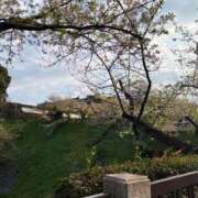 ヒメ日記 2025/04/19 11:33 投稿 みるる すごいエステ池袋店