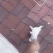 ヒメ日記 2025/05/29 16:40 投稿 みるる すごいエステ池袋店