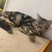 ヒメ日記 2025/06/07 20:20 投稿 みるる すごいエステ池袋店