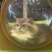 ヒメ日記 2025/06/28 19:00 投稿 みるる すごいエステ池袋店