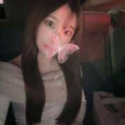 ヒメ日記 2025/04/19 15:41 投稿 ゆあ ピンクコレクション大阪