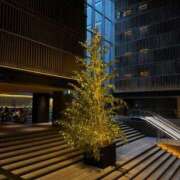 ヒメ日記 2025/12/20 01:18 投稿 ゆあ ピンクコレクション大阪