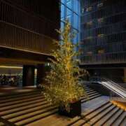 ヒメ日記 2025/12/20 01:29 投稿 ゆあ ピンクコレクション大阪キタ店