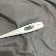 ヒメ日記 2025/01/27 12:37 投稿 ケイ(奥方) 奥様幕府