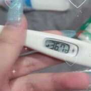 ヒメ日記 2025/02/18 11:27 投稿 ケイ(奥方) 奥様幕府