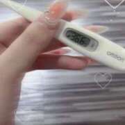 ヒメ日記 2025/03/12 13:47 投稿 ケイ(奥方) 奥様幕府