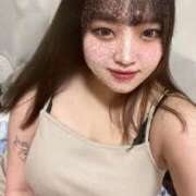 ヒメ日記 2025/03/15 16:57 投稿 ケイ(奥方) 奥様幕府