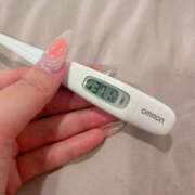 ヒメ日記 2025/03/17 11:07 投稿 ケイ(奥方) 奥様幕府