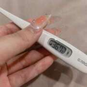 ヒメ日記 2025/03/18 12:07 投稿 ケイ(奥方) 奥様幕府