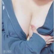 ヒメ日記 2025/04/06 16:17 投稿 ケイ(奥方) 奥様幕府