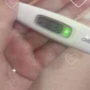 ヒメ日記 2025/04/12 14:27 投稿 ケイ(奥方) 奥様幕府