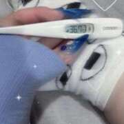 ヒメ日記 2025/10/16 14:57 投稿 ケイ(奥方) 奥様幕府