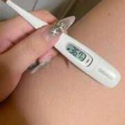 ヒメ日記 2025/11/17 14:37 投稿 ケイ(奥方) 奥様幕府