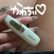 ヒメ日記 2025/11/22 16:07 投稿 ケイ(奥方) 奥様幕府