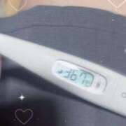 ヒメ日記 2025/12/14 12:27 投稿 ケイ(奥方) 奥様幕府