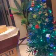 ヒメ日記 2025/12/14 18:27 投稿 ケイ(奥方) 奥様幕府