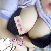 ヒメ日記 2026/04/06 00:37 投稿 ケイ(奥方) 奥様幕府