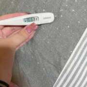 ヒメ日記 2026/04/11 14:27 投稿 ケイ(奥方) 奥様幕府