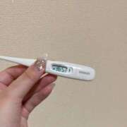 ケイ(奥方) 今日の 奥様幕府