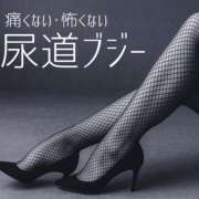 ヒメ日記 2025/11/17 20:30 投稿 ゆきの Club-Embassy