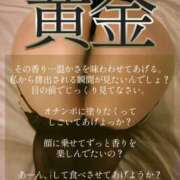 ヒメ日記 2026/05/22 19:01 投稿 ゆきの Club-Embassy