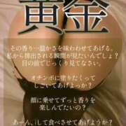 ヒメ日記 2026/07/23 17:08 投稿 ゆきの Club-Embassy