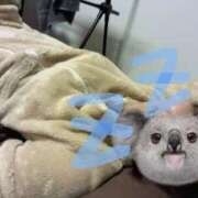 ヒメ日記 2025/01/04 17:57 投稿 戸田夏菜子 こあくまな熟女たち岩国店(KOAKUMAグループ)