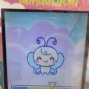 ヒメ日記 2025/09/25 17:04 投稿 ひめ マシュマロフロート