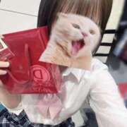 ヒメ日記 2025/02/13 23:12 投稿 ゆい ハンドキャンパス新宿