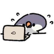 ヒメ日記 2025/11/30 08:31 投稿 めぐ(Megu) 出張メンズエステ RELAX【DIVAグループ】