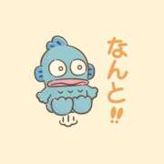 ヒメ日記 2026/01/17 20:51 投稿 朝日【あさひ】 輝女