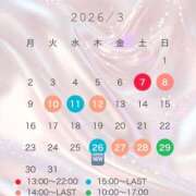 ヒメ日記 2026/02/28 12:04 投稿 朝日【あさひ】 輝女