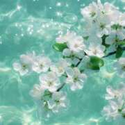 ヒメ日記 2026/03/04 10:44 投稿 朝日【あさひ】 輝女