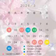 ヒメ日記 2026/03/07 17:03 投稿 朝日【あさひ】 輝女