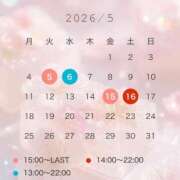 ヒメ日記 2026/04/23 12:02 投稿 朝日【あさひ】 輝女