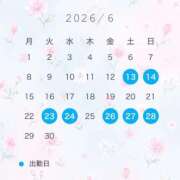 朝日【あさひ】 🩵6月の予定🩵 輝女