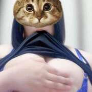 ヒメ日記 2025/11/17 16:04 投稿 松本かえで 大阪ぽっちゃり妻 谷九店