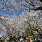 ヒメ日記 2026/04/12 11:33 投稿 松本かえで 大阪ぽっちゃり妻 谷九店