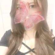 安堂ふみ 本日20時から2時までいます🎀 Darlin Premium(ダーリンプレミアム)