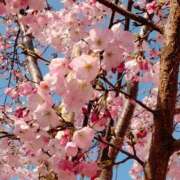 ヒメ日記 2026/03/28 15:00 投稿 なぎ 奥鉄オクテツ大阪