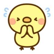 ヒメ日記 2026/04/09 08:30 投稿 なぎ 奥鉄オクテツ大阪