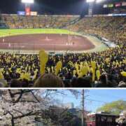 ヒメ日記 2026/04/09 12:02 投稿 なぎ 奥鉄オクテツ大阪