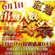 ヒメ日記 2026/05/30 12:05 投稿 なぎ 奥鉄オクテツ大阪