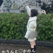 ヒメ日記 2025/04/08 12:04 投稿 かのん かりんとplus　上野御徒町